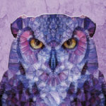  Purple Owl - Ancello