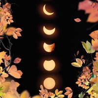 Autumnal Moon - cafelab - Emanuela Carratoni