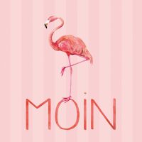 Flamingo Moin - Andrea Haase