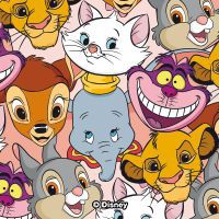Closeup Disney Classic Character - Disney