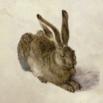 Mountain hare - Bridgeman Art