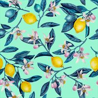 Zitronen und Blüten Licht - Katerina Kirilova