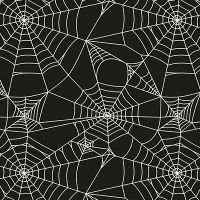 Spider's Web - cafelab - Emanuela Carratoni
