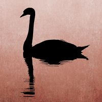 The Swan Red - Kubistika