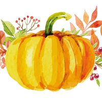 Pumpkin-weißer Hintergrund  - DeinDesign