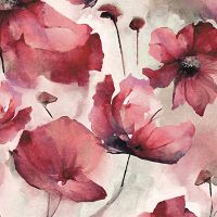Wild Poppies Seamless - Andrea Haase