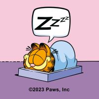 Garfield Nap Attack Pink - Garfield
