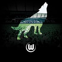 Volkswagen Arena Wolf - VfL Wolfsburg