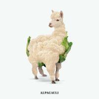 Alpacauli - Jonas Loose Art