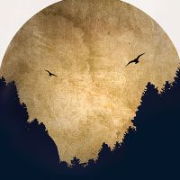 Two Birds and Moon - Kubistika