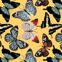 Spring Butterflies - cafelab - Emanuela Carratoni