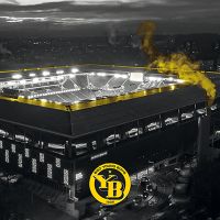 BSC Young Boys Stadium - BSC Young Boys