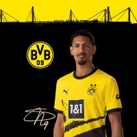 Sebastian Haller 23/24 - Borussia Dortmund