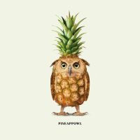 Pineappowl - Jonas Loose Art