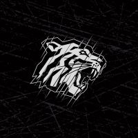 Nürnberg Ice Tigers Logo Grau - Nürnberg Ice Tigers