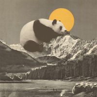Giant Panda Nap - Florent Bodart