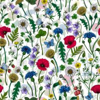Wild Flowers on White - Katerina Kirilova