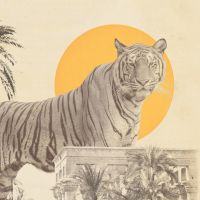 Giant Tiger in Ruins - Florent Bodart