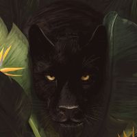 Hello Panther - Florent Bodart