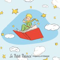 Der kleine Prinz fliegt - Le Petit Prince