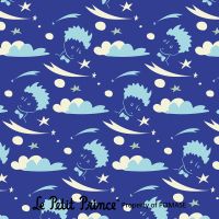 The little Prince pattern blue - Le Petit Prince