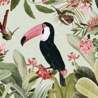 Toucan Exotic Bird - UtART