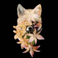Blumen-Fuchs - Robert Farkas
