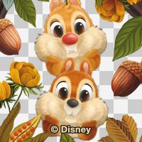 Chip And Chap Pekaboo - Disney