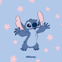 Premium Skyddskal matt