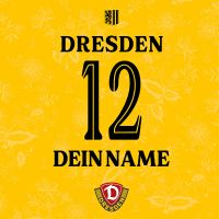 Dynamo Dresden Trikot Personalisierbar 25-26 - Dynamo Dresden