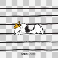 Wooden Slim Case walnut