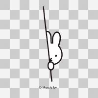 Miffy Versteckt Transparent - Nijntje / Miffy