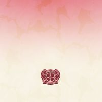 Bayer 04 Muster Trikot - Bayer 04 Leverkusen