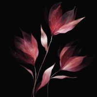 PopSockets PopGrip  schwarz