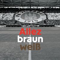 Folien für Controller matt