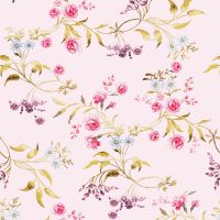 Foils for E-Readers matt