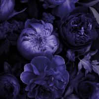 SkinVinyyli Puhelimet mattapinta