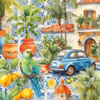 Carry Case Single Transparent