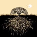 Roots of a Tree - DeinDesign