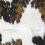 Colourful Cowhide - DeinDesign