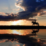 Ausritt im Sonnenuntergang - DeinDesign