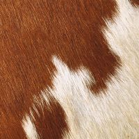 Kuhfell Look - DeinDesign