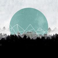 Woods Abstract2 - Mareike Böhmer