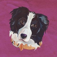 Bordercollie - Lisa Stachnick