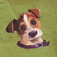 Jackrussel - Lisa Stachnick