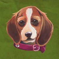 Beagle - Lisa Stachnick