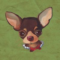 Chihuahua - Lisa Stachnick