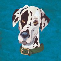 Dalmatiner - Lisa Stachnick