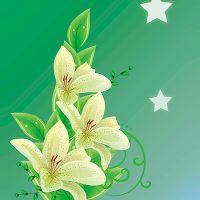 Fresh Lilly - SINGERDESIGN