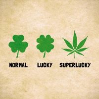 Superlucky - Badbugs Art